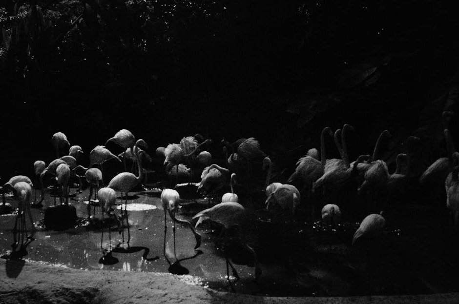 Emergency pipe burst repair